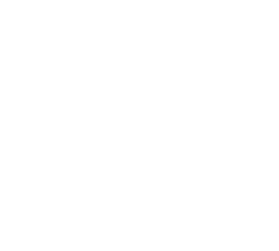 partner-logo