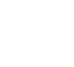 partner-logo